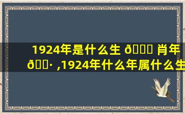 1924年是什么生 🐝 肖年 🕷 ,1924年什么年属什么生肖年